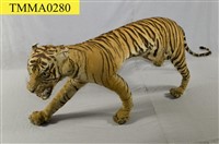 藏品(老虎)的圖片